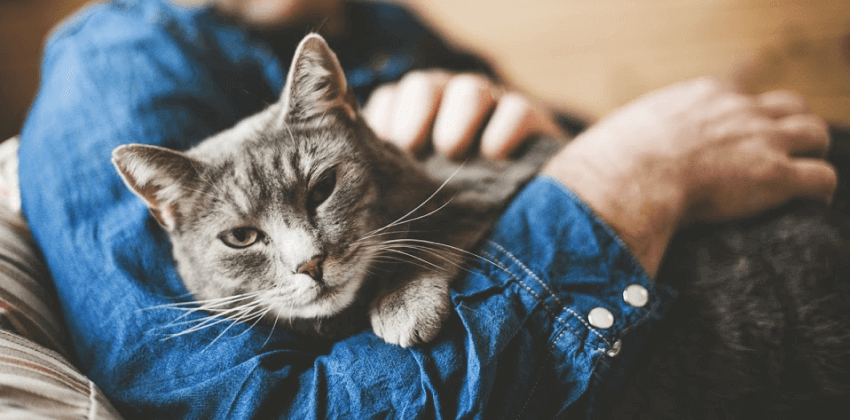 End Of Life Care